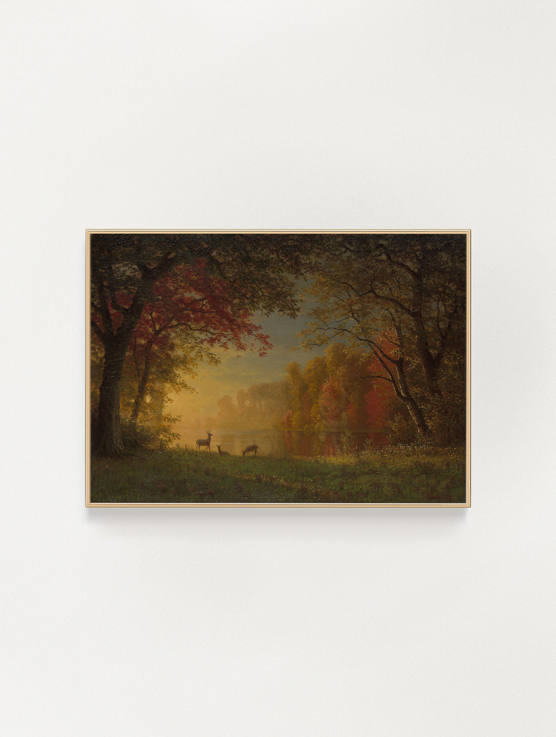 Autumn Sunset (Digital Download)