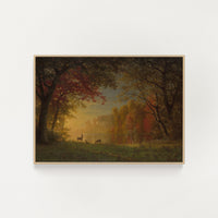 Autumn Sunset (Digital Download)