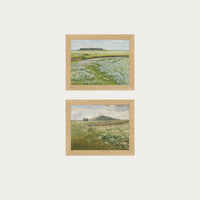 Blooming Fields Set