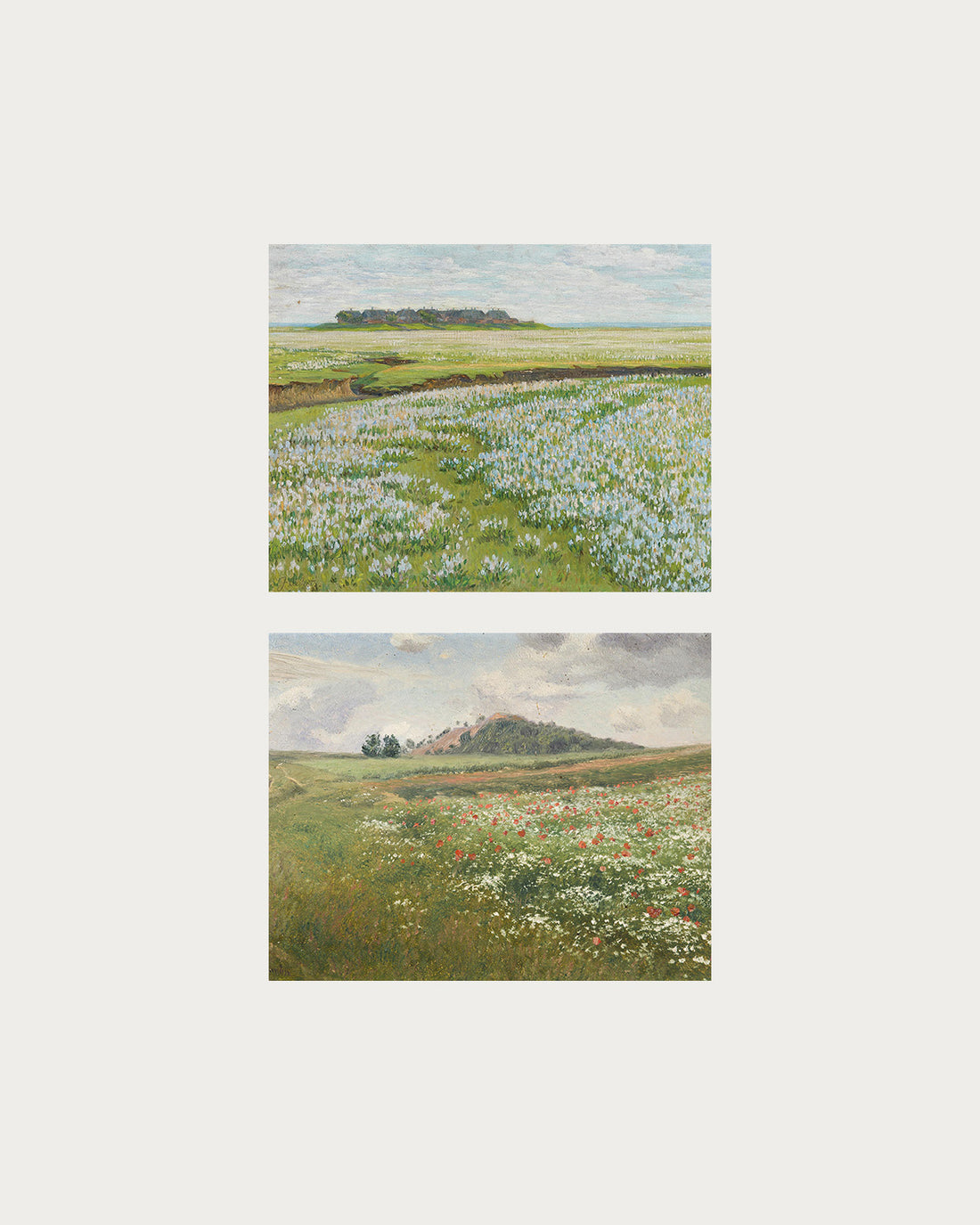 Blooming Fields Set