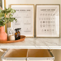 Stain Removal Guide (Download)