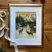 Red Deer in the Alps Download