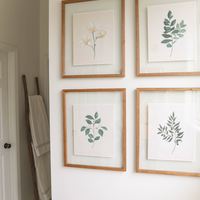 Watercolor Botanical Print Bundle - Set of 4 (Downloads Only)
