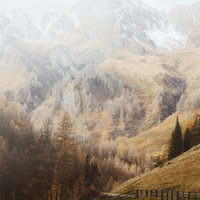 Explore and Adventure Art Bundle (Downloads)
