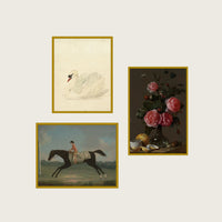 The Ruby Collection