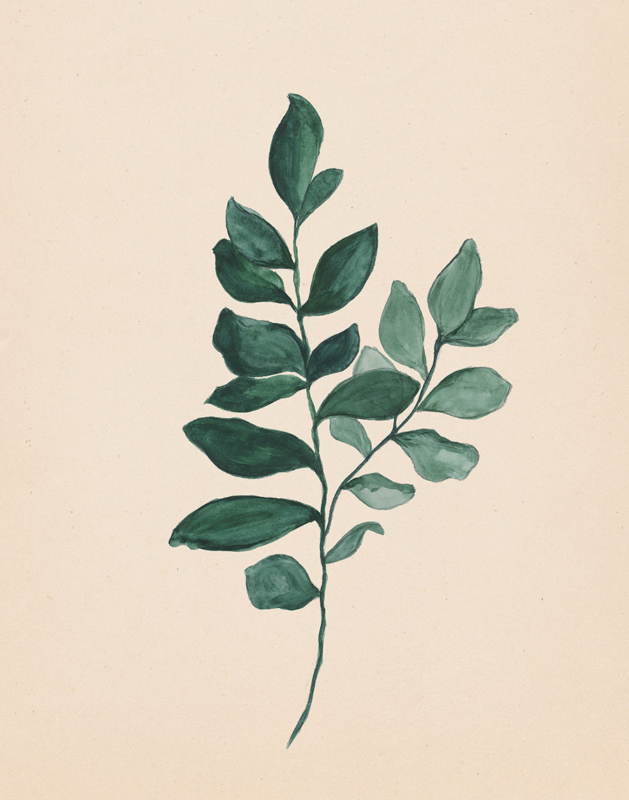 Watercolor Botanical Print Bundle - Set of 4 (Downloads Only)