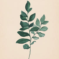 Watercolor Botanical Print Bundle - Set of 4 (Downloads Only)