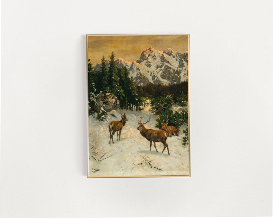 Red Deer in the Alps Download