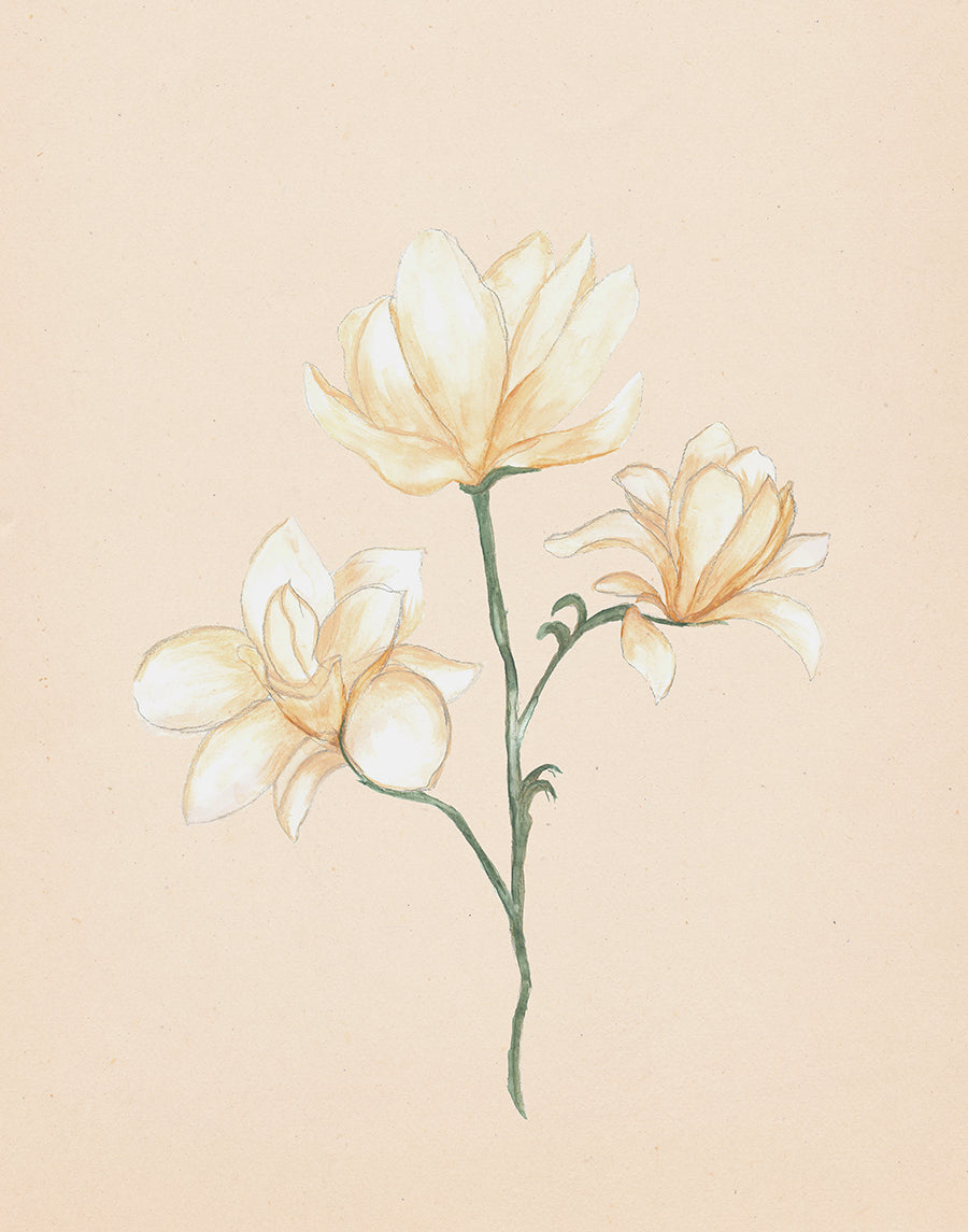 Watercolor Botanical Print Bundle - Set of 4 (Downloads Only)