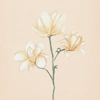 Watercolor Botanical Print Bundle - Set of 4 (Downloads Only)