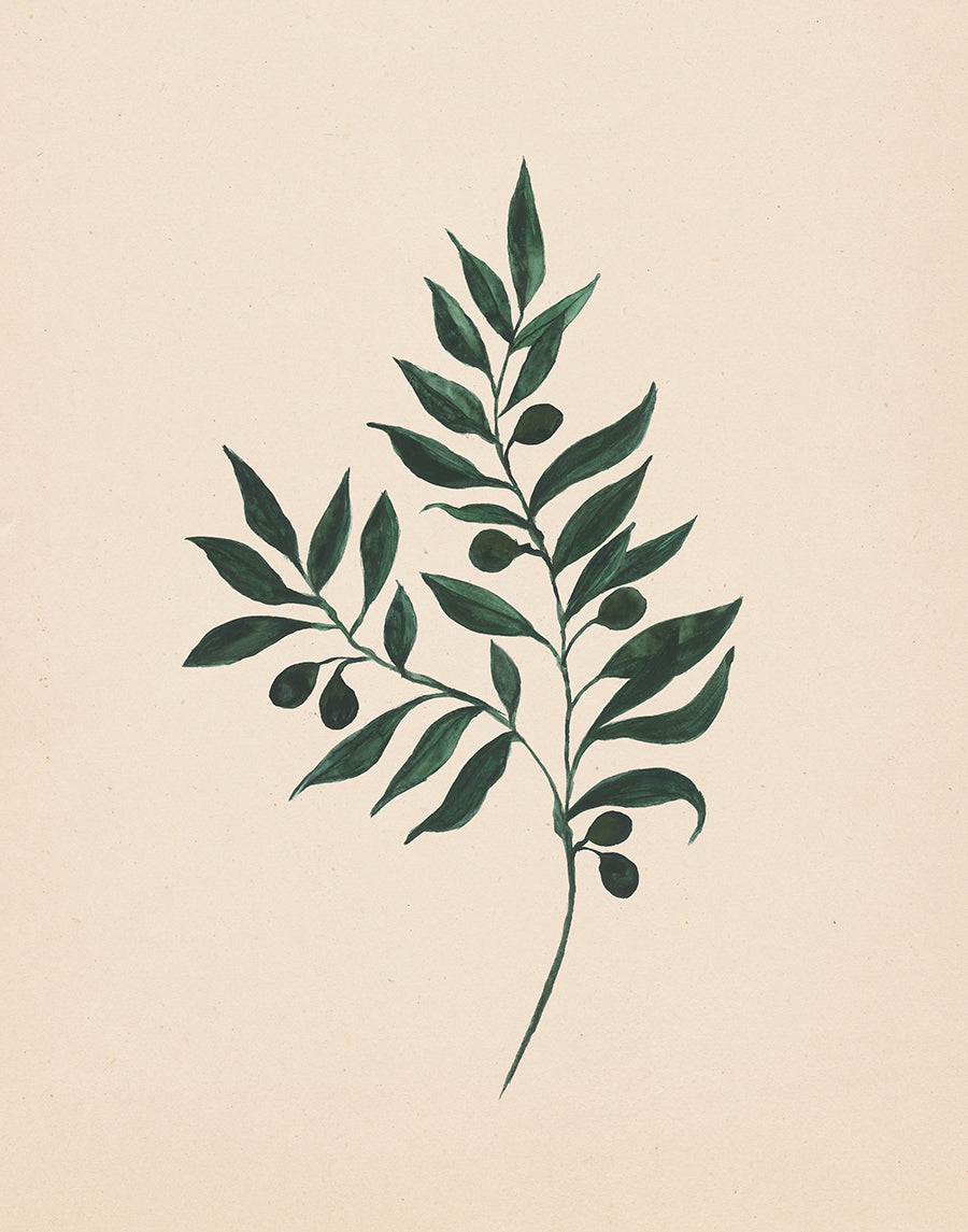 Watercolor Botanical Print Bundle - Set of 4 (Downloads Only)