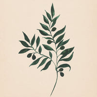 Watercolor Botanical Print Bundle - Set of 4 (Downloads Only)