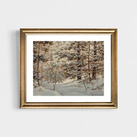Snowcapped Pines - holiday print-ready download