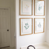 Watercolor Botanical Print Bundle - Set of 4 (Downloads Only)