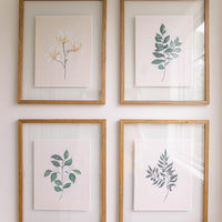 Watercolor Botanical Print Bundle - Set of 4 (Downloads Only)