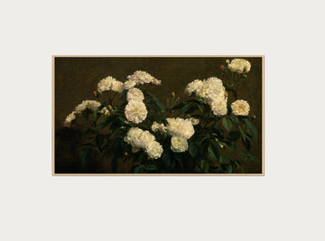 White Floral Still Life