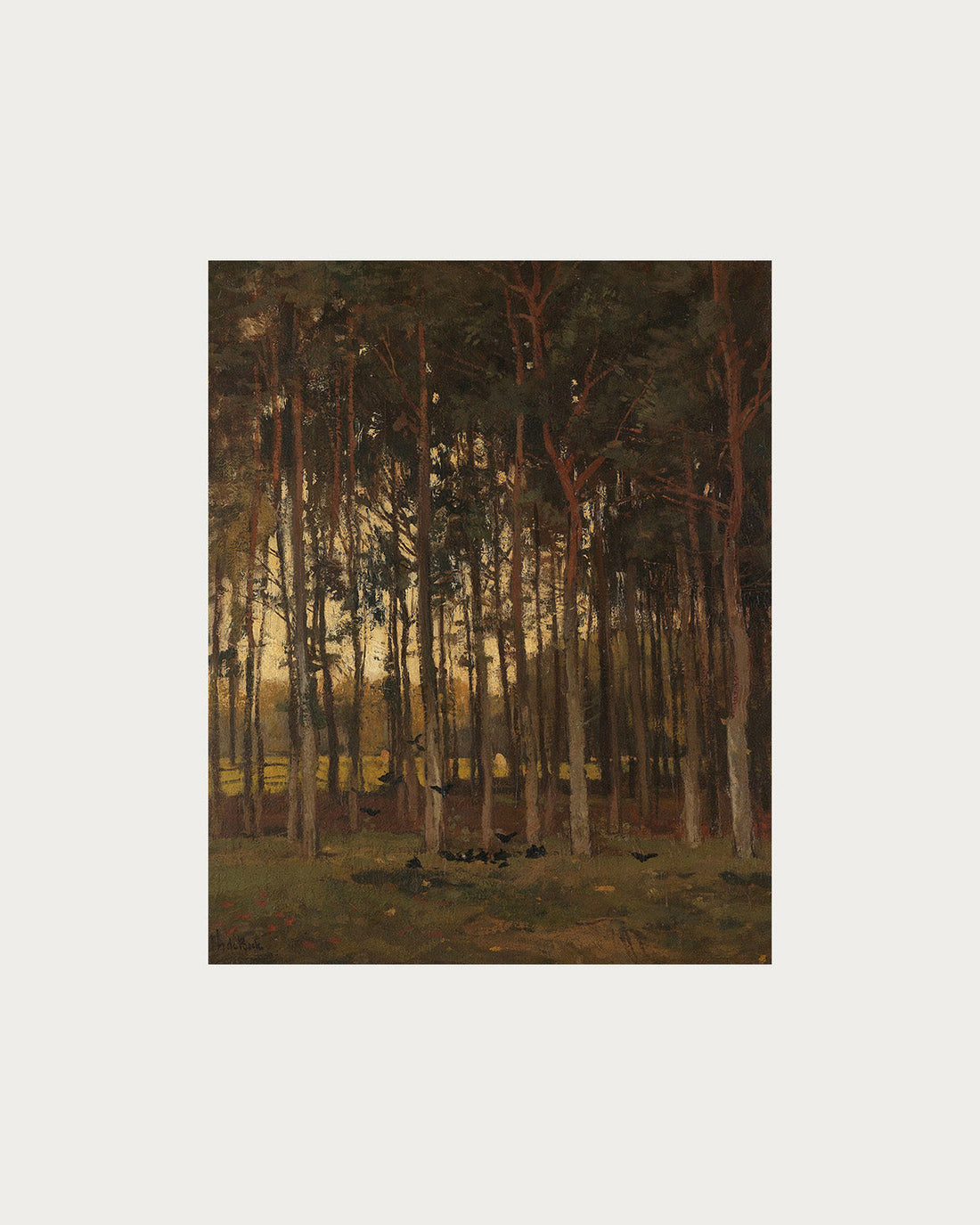 Dawn in the Woods Digital Download