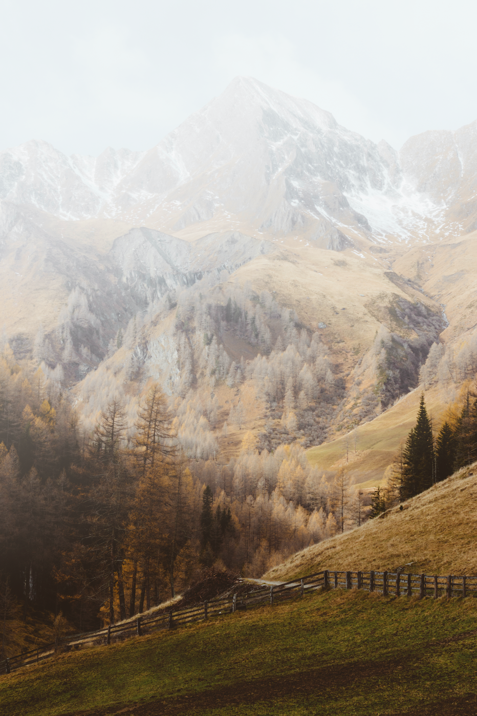 The Alps (Download)