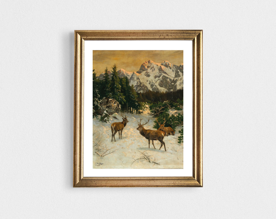 Red Deer in the Alps Download