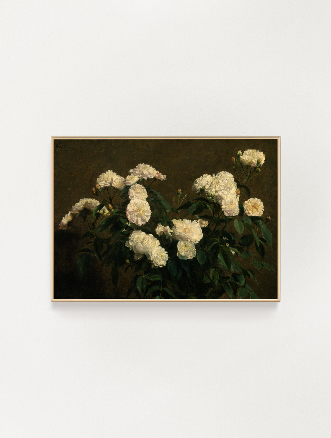 White Floral Still Life