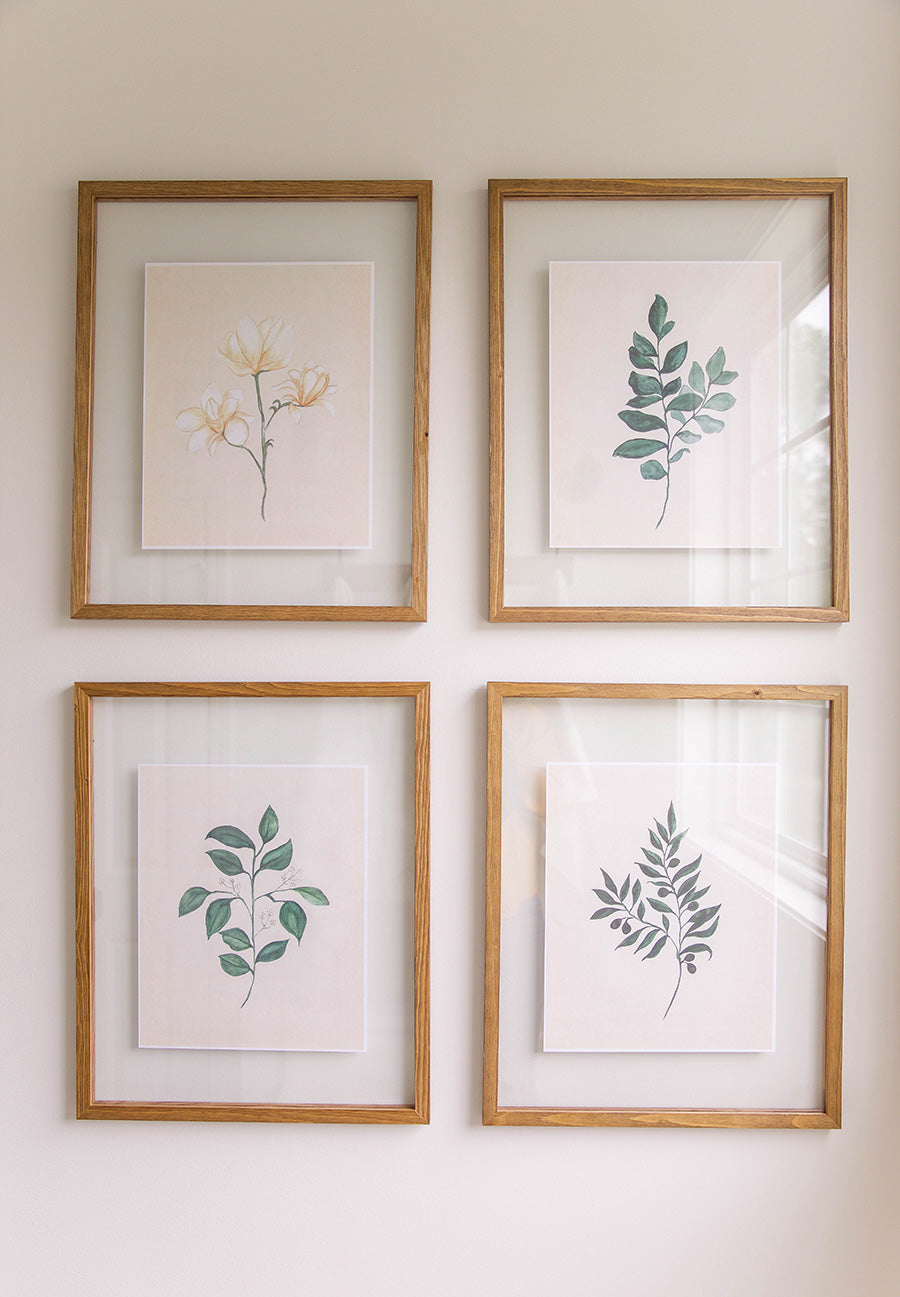 Watercolor Botanical Print Bundle - Set of 4 (Downloads Only)